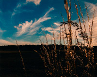 无需设置直用的ddos在线攻击平台